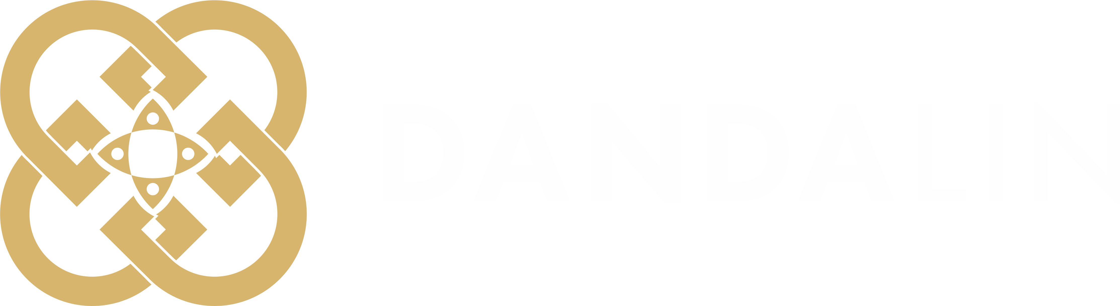 IBN Dandalin dark logo
